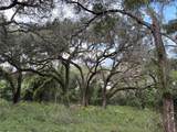  Lucilles Shady Lane - Photo 39