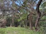  Lucilles Shady Lane - Photo 41