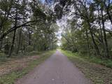  Lucilles Shady Lane - Photo 42