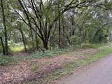  Lucilles Shady Lane - Photo 43