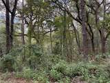  Lucilles Shady Lane - Photo 44