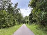  Lucilles Shady Lane - Photo 45