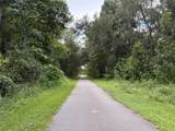  Lucilles Shady Lane - Photo 46