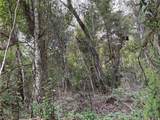  Lucilles Shady Lane - Photo 47