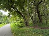  Lucilles Shady Lane - Photo 48