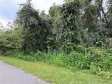  Lucilles Shady Lane - Photo 49