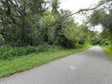  Lucilles Shady Lane - Photo 50
