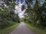  Lucilles Shady Lane - Photo 52