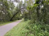  Lucilles Shady Lane - Photo 53