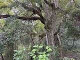  Lucilles Shady Lane - Photo 54