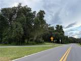  Lucilles Shady Lane - Photo 55
