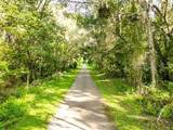 Lucilles Shady Lane - Photo 59