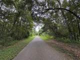  Lucilles Shady Lane - Photo 6