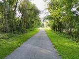  Lucilles Shady Lane - Photo 60
