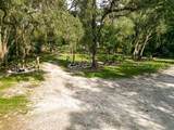  Lucilles Shady Lane - Photo 62