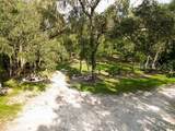  Lucilles Shady Lane - Photo 63