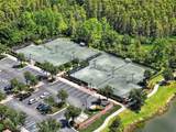 29241 Perilli Place - Photo 49