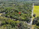 11420 Steamboat Drive - Photo 3