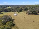 32854 Lister Road - Photo 4
