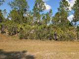  Oleander Drive - Photo 5