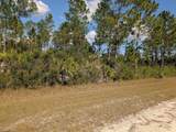  Oleander Drive - Photo 7