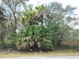 9999 Snowball Point - Photo 1