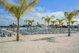 31548 Cabana Rye Avenue - Photo 82