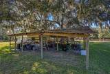 11419 Old Crystal River Road - Photo 59