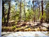  Old Bellamy Trail - Photo 6