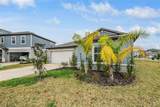 32325 Wishing Haven Drive - Photo 59