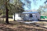 10405 Jungle Street - Photo 2