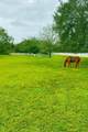 13717 Canterfield Drive - Photo 44