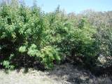 98 Sugar Bear Drive - Photo 31
