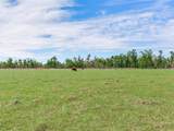 15721 Colding Loop - Photo 56