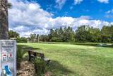 20914 Ruby Red Way - Photo 42