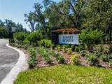 18442 Purple Creek Lane - Photo 13