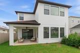 29211 Perilli Place - Photo 39