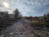  Sligh Avenue - Photo 3