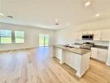 35657 Buttonweed Trail - Photo 33