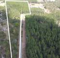  Wild Cur Road - Photo 1