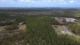  Wild Cur Road - Photo 14