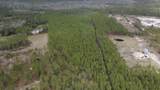  Wild Cur Road - Photo 16