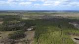  Wild Cur Road - Photo 21