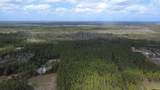  Wild Cur Road - Photo 22