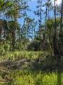 492 Biscayne Drive - Photo 3