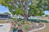 123 Wintersong Lane - Photo 44