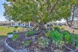 123 Wintersong Lane - Photo 45