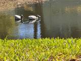 1250 Pinellas Avenue - Photo 46