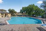 37604 Aaralyn Road - Photo 32