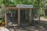 9091 Mcintyre Road - Photo 69